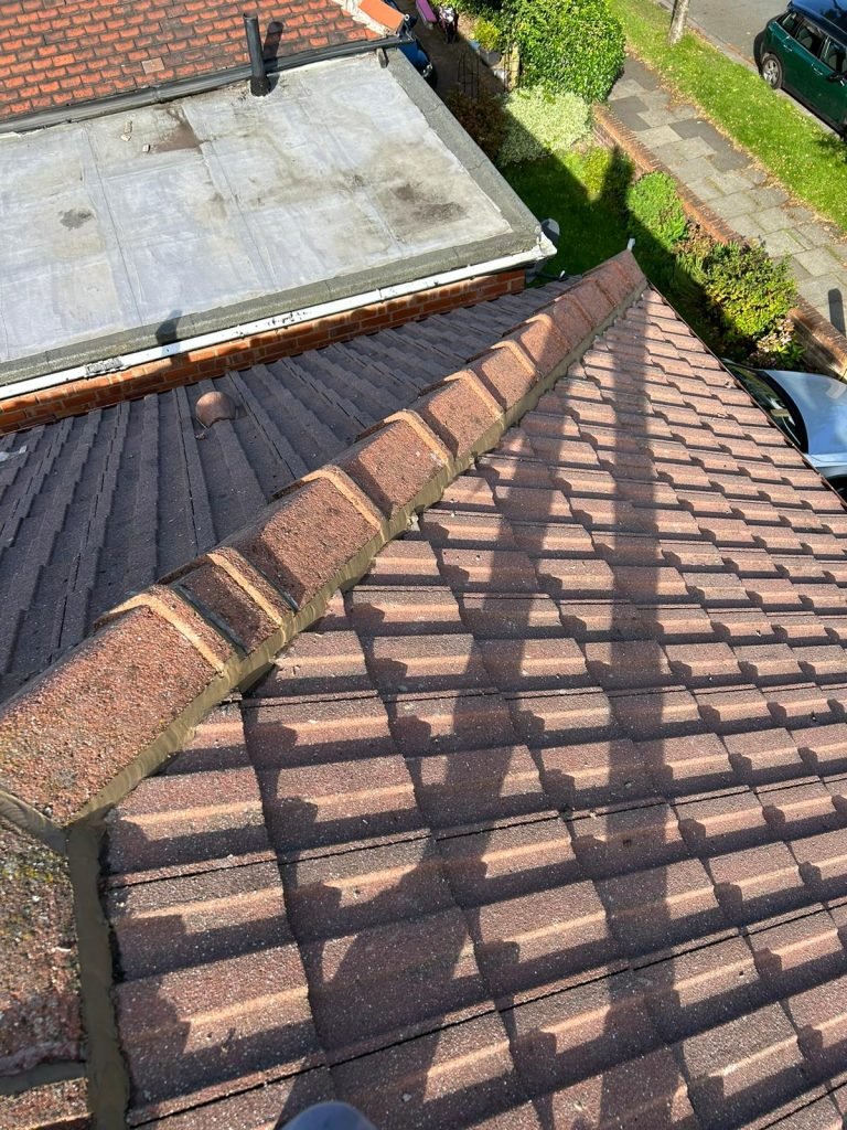 local roofing experts